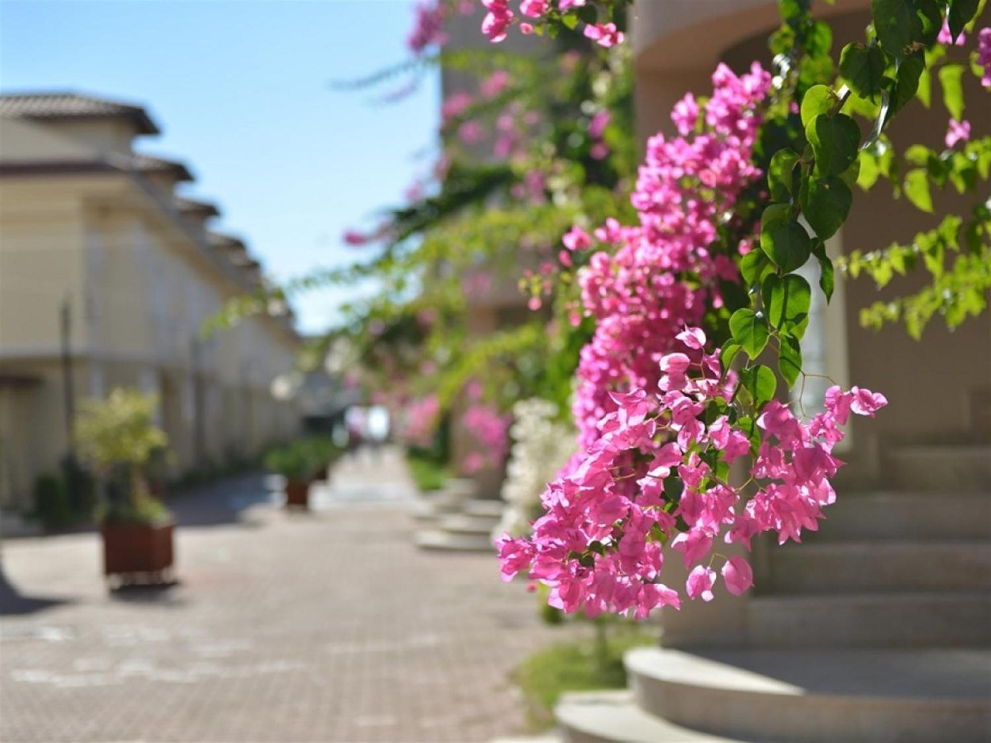 Sunset Beach Club Lebrentals Φετιγιέ Εξωτερικό φωτογραφία